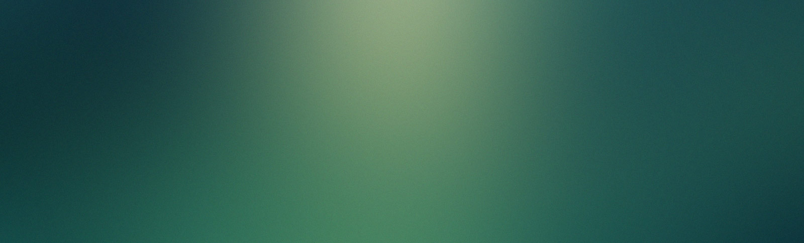 Gassi-Service für Hunde