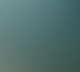 Tagesbetreuung für Hunde