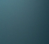 Gassi-Service für Hunde