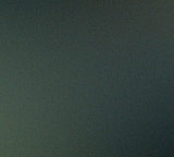 Urlaubsbetreuung für Hunde